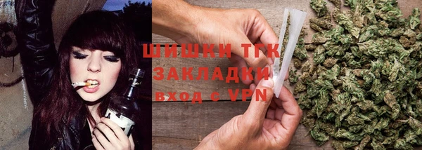 apvp Богородицк