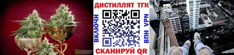 ТГК Wax  Майкоп 